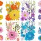 100pcs Natural Dried Pressed Flowers for Resin Molds – Colorful Real Daisy Flowers for Resin Jewelry, Nail Art & Pendants – Dried Botanicals with Tweezers – Floral Craft DIY Accessories for Scrapbooking, Candle Making & 2026 Wedding Keepsakes